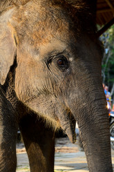 Similar image 2172368