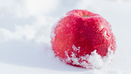 Similar image 2174392