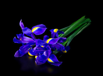 Similar image 2175021