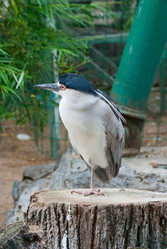 Similar image 2176634