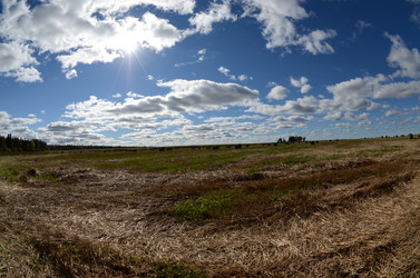 Similar image 2176683