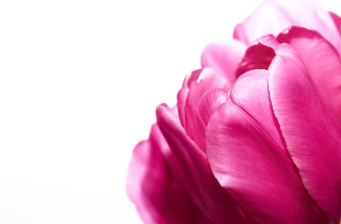 Similar image 2176852