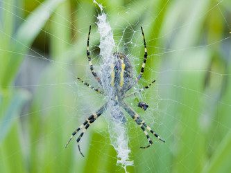 Similar image 2176854