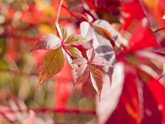 Similar image 2176856