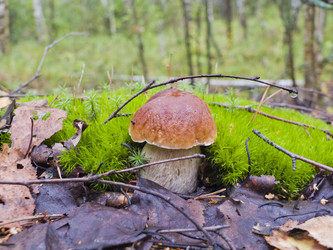 Similar image 2176857