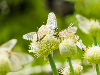 Similar image 2176858