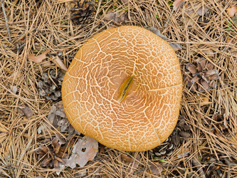 Similar image 2176860