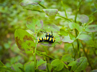 Similar image 2176863