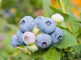 Similar image 2176869