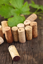 Similar image 2176915