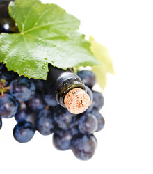 Similar image 2176958