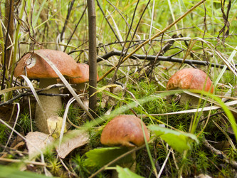 Similar image 2176984