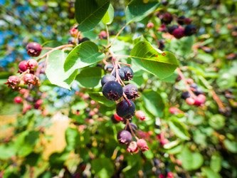 Similar image 2176986