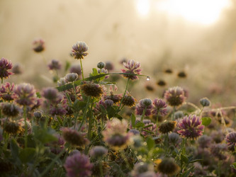 Similar image 2176987