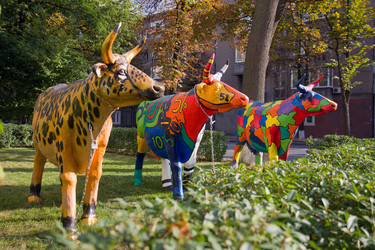 Similar image 2177047