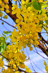 Similar image 2177365