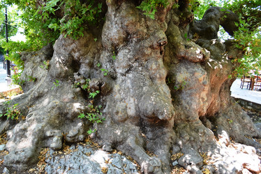 Similar image 2177403