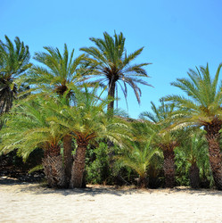 Similar image 2177411