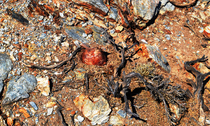 Similar image 2177462