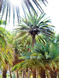 Similar image 2177464