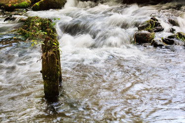 Similar image 2177623