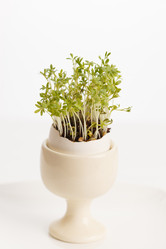 Similar image 2177690