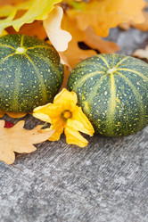 Similar image 2177736