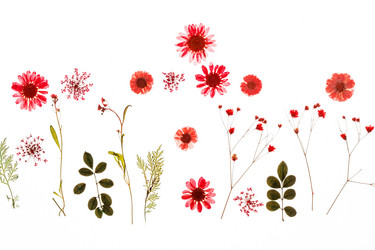 Similar image 2177740