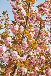 Similar image 2177747