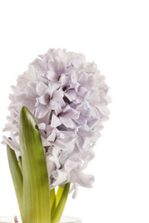 Similar image 2177755