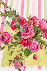 Similar image 2177766