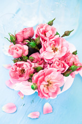 Similar image 2177817