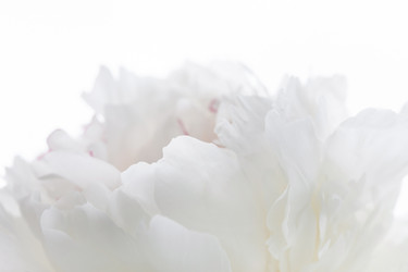 Similar image 2177818