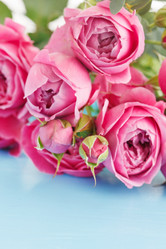 Similar image 2177822