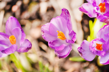 Similar image 2177825