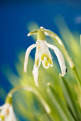 Similar image 2177868