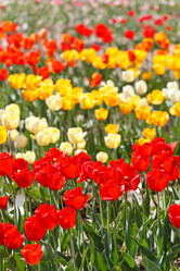 Similar image 2177873