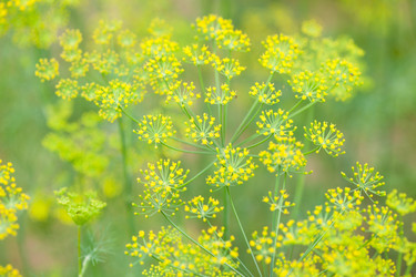 Similar image 2177899