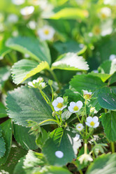 Similar image 2177905