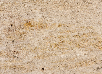 Similar image 2185790