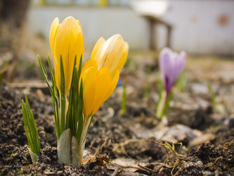 Similar image 2185840