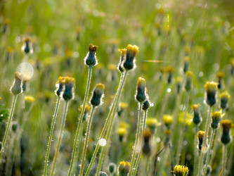 Similar image 2185842