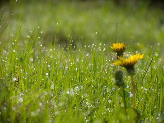 Similar image 2185843