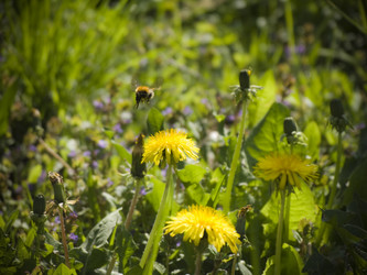 Similar image 2185845