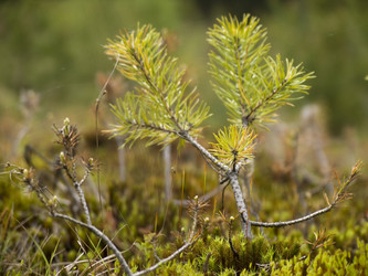 Similar image 2185846