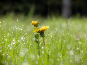 Similar image 2185847