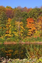 Similar image 2186203