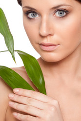 Similar image 2186349