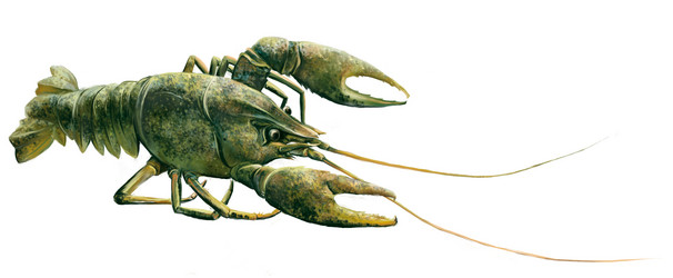 Similar image 2186596