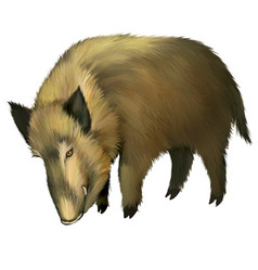 Similar image 2186600